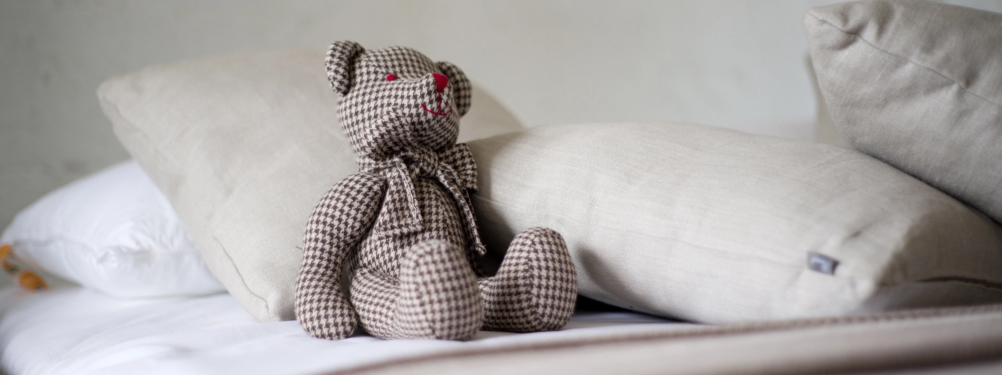 Teddy © Pixabay / Engin Akyurt